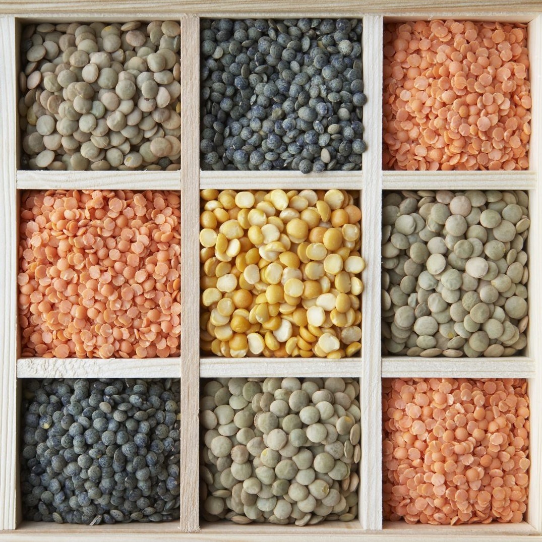 Pulses